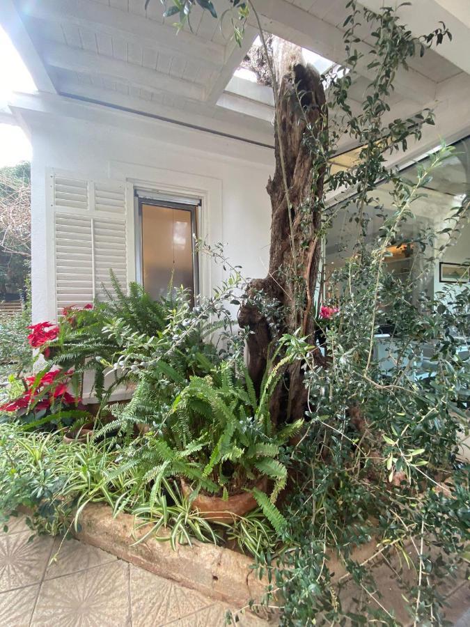 Appartamento La Torretta مونديلّو المظهر الخارجي الصورة